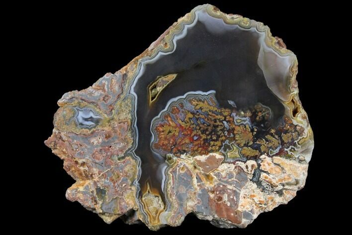 Turkish Plume Agate Nodule (Fluorescent) - Turkey #132273